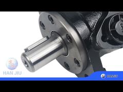 HYDRAULISCHE MOTOR MET ACHTERPOORTEN BMR160 MOTOR